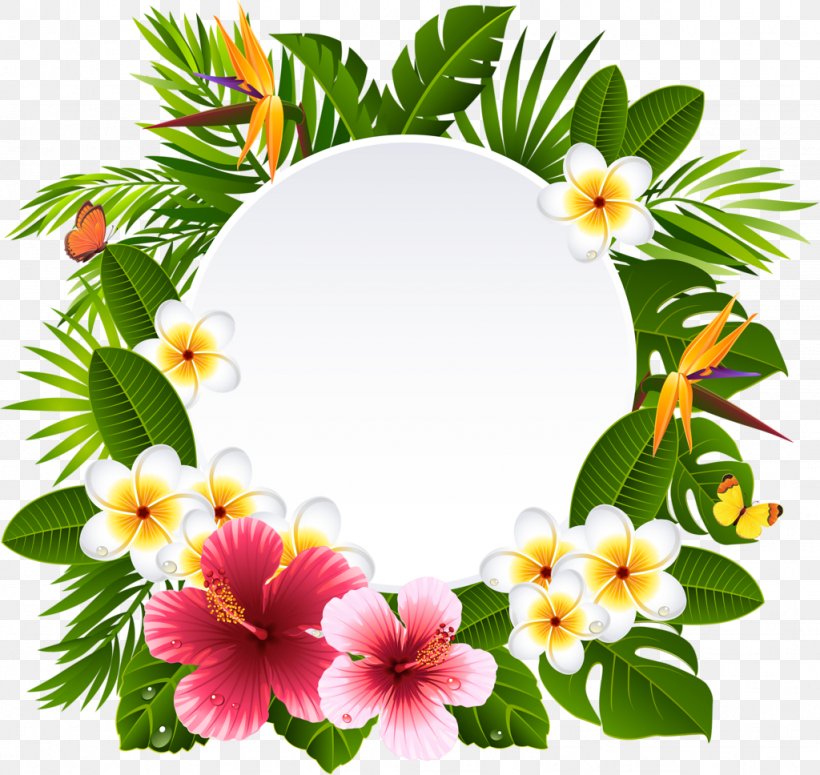 Flower Stock Photography Clip Art, PNG, 1024x968px, Flower, Annual Plant, Branch, Flora, Floral Design Download Free