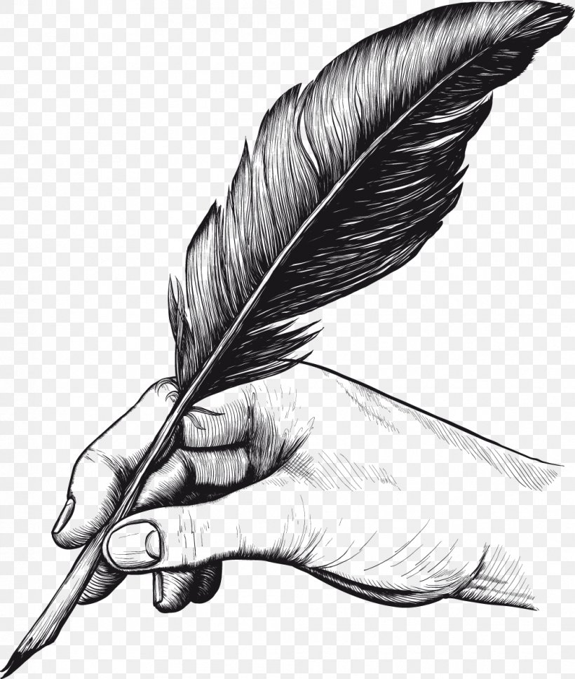 Quill Pens Feather Drawing Clip Art, PNG, 1041x1229px, Quill, Ballpoint Pen, Beak, Bird, Black And White Download Free