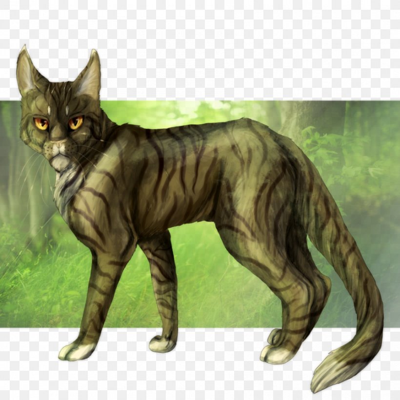 Whiskers Domestic Short-haired Cat Wildcat Character, PNG, 894x894px, Whiskers, Carnivoran, Cat, Cat Like Mammal, Character Download Free