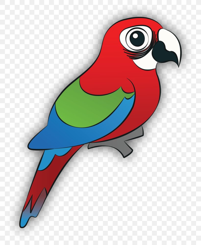 Macaw Parrot Loriini Animal Clip Art, PNG, 800x998px, Macaw, Animal, Beak, Bird, Feather Download Free