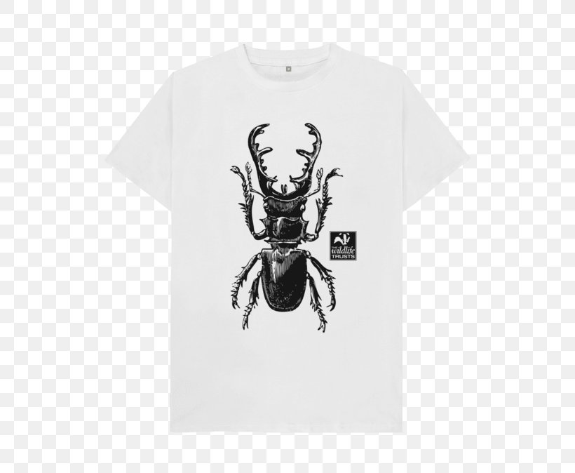 T-shirt Sweatshirt Clothing Sleeve, PNG, 640x674px, Tshirt, Arthropod, Beetle, Clothing, Cotton Download Free