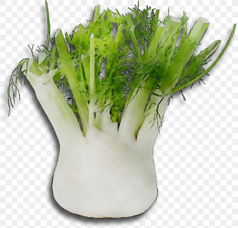 Vegetable Fennel Onion Carrot Broth, PNG, 1344x1290px, Vegetable, Broth, Carrot, Celery, Cooking Download Free