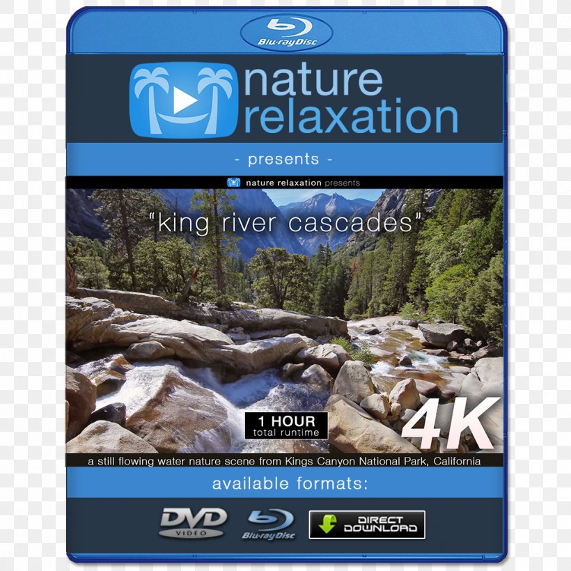 Blu-ray Disc 4K Resolution Ultra-high-definition Television Display Resolution 1080p, PNG, 1000x1000px, Watercolor, Cartoon, Flower, Frame, Heart Download Free