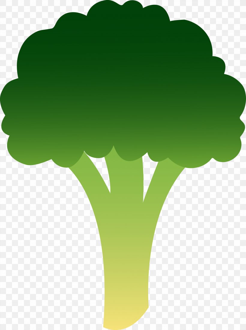 Broccoli Cabbage Leaf Vegetable Clip Art, PNG, 3793x5090px, Broccoli, Brassica Oleracea, Cabbage, Cartoon, Collard Greens Download Free