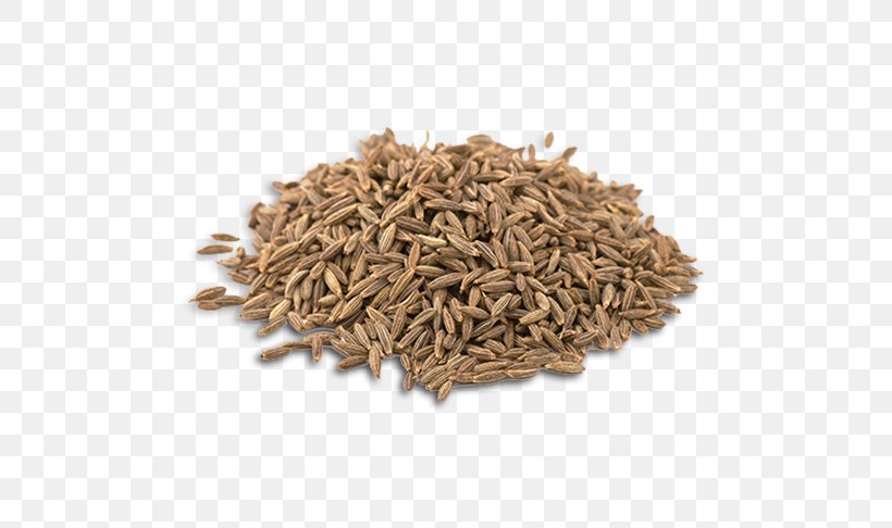 Cumin Fennel Flower Spice Sesame Food, PNG, 545x486px, Cumin, Anise, Bean, Black Cumin Seeds, Black Pepper Download Free