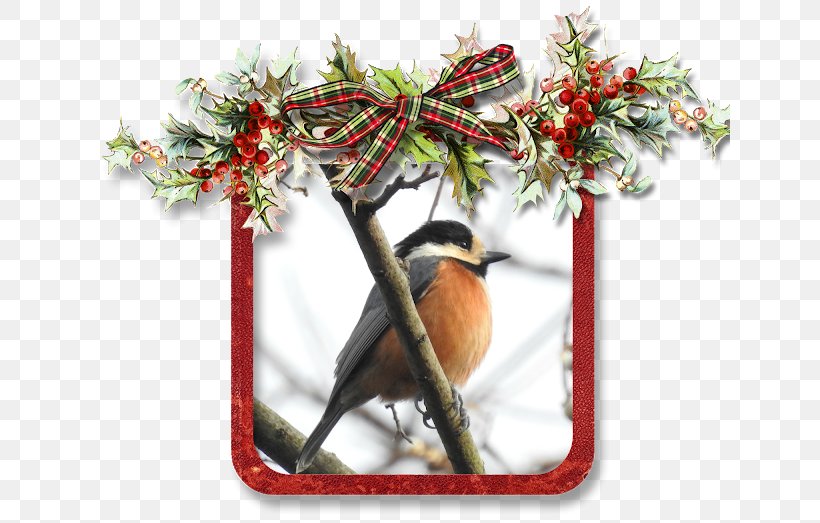 Digital Scrapbooking Christmas Day Scrapbook Kit Holiday, PNG, 640x523px, Scrapbooking, Beak, Bird, Branch, Brush Download Free