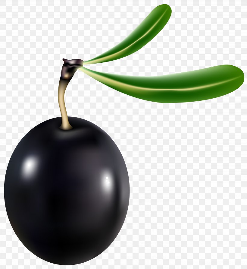 United States Teth Clip Art, PNG, 5510x6000px, Olive, Food, Fruit, Plant, Produce Download Free