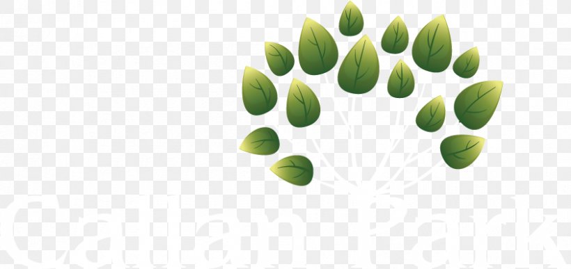 Vector Graphics Image Clip Art Drawing, PNG, 843x398px, Drawing, Grass, Green, Leaf, Photography Download Free