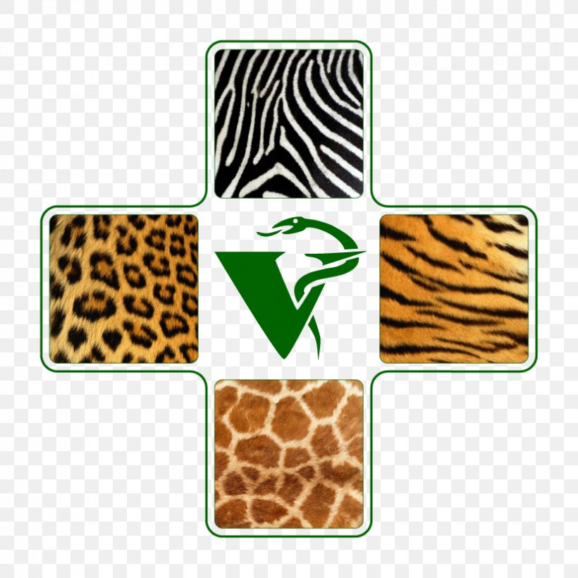 Veterinary Medicine Wildlife Africa Giraffe Krakow Pet Shop Labrador, PNG, 827x827px, Veterinary Medicine, Africa, Animal, Giraffe, Mammal Download Free