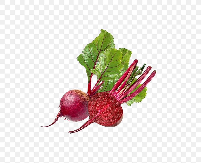 Beetroots Vegetable Vegetarian Cuisine Organic Food, PNG, 600x665px, Beetroots, Beet, Beet Greens, Beetroot, Broccoli Download Free