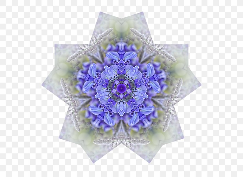 Blue Flower Lavender Lilac Purple, PNG, 600x600px, Blue, Cobalt, Cobalt Blue, Cut Flowers, Flower Download Free