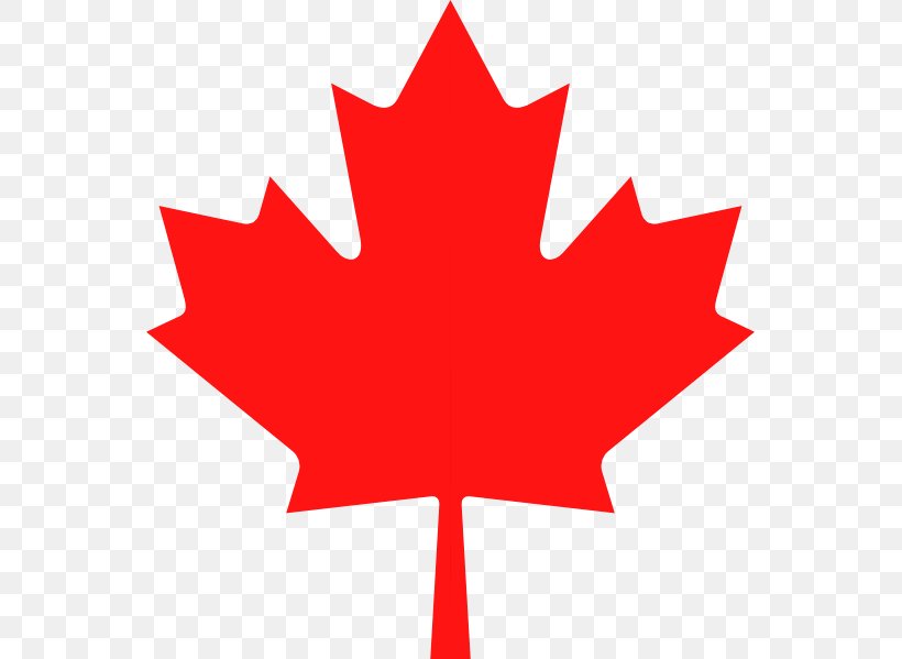 Flag Of Canada Canadian Gold Maple Leaf Stock.xchng, PNG, 553x599px, Canada, Canadian Gold Maple Leaf, Flag Of Canada, Flower, Flowering Plant Download Free