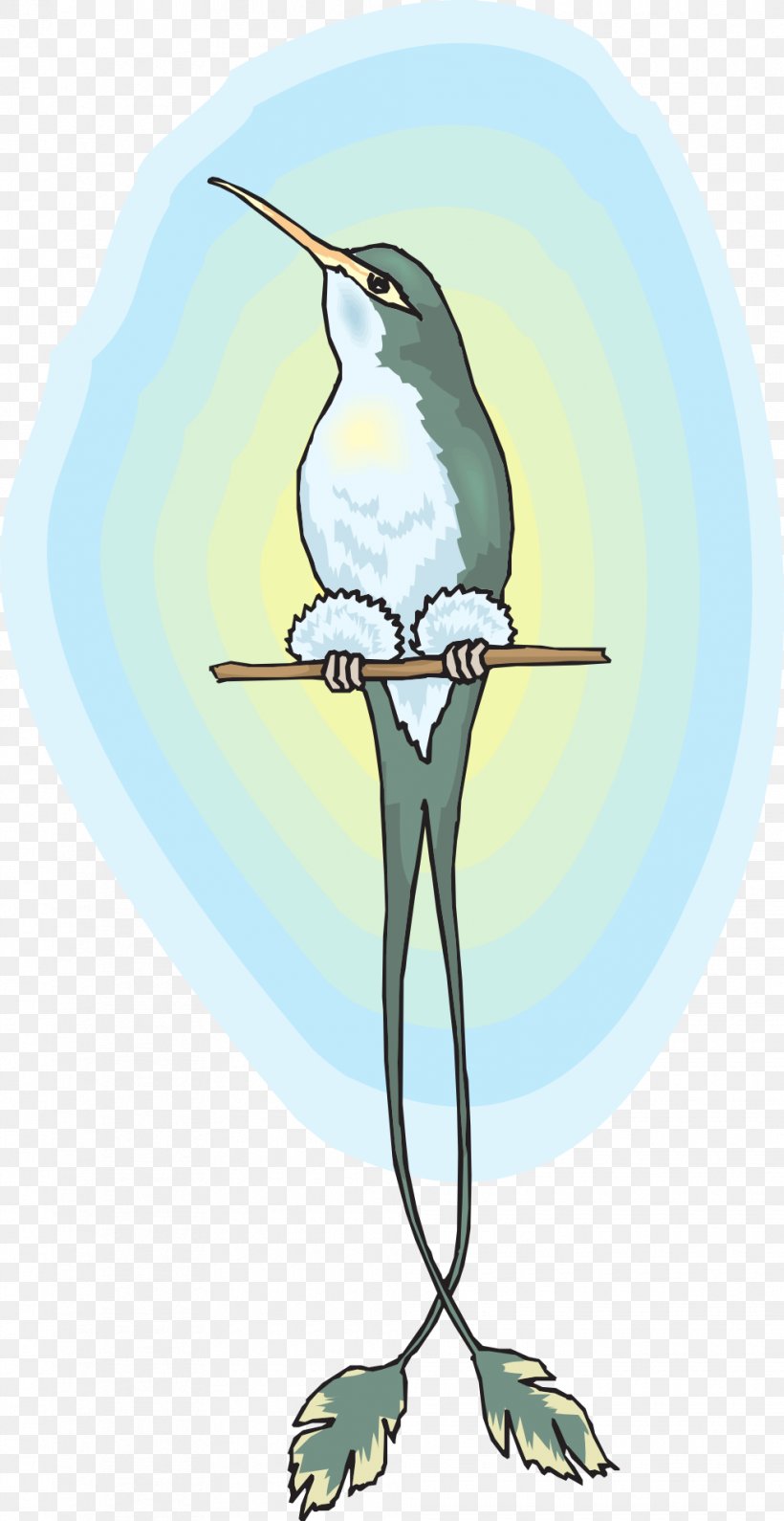 Hummingbird Beak, PNG, 990x1920px, Bird, Beak, Branch, Cartoon, Fauna Download Free