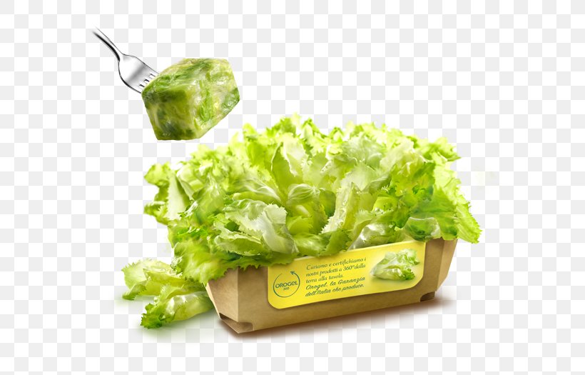Romaine Lettuce Vegetarian Cuisine Salad Diet Food, PNG, 610x525px, Romaine Lettuce, Diet, Diet Food, Dish, Food Download Free