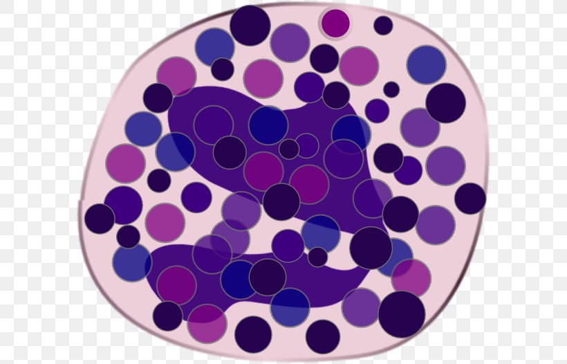 Basophilia Blood Human Body Physiology, PNG, 600x526px, Basophil, Basophilia, Blood, Cobalt Blue, Connective Tissue Download Free