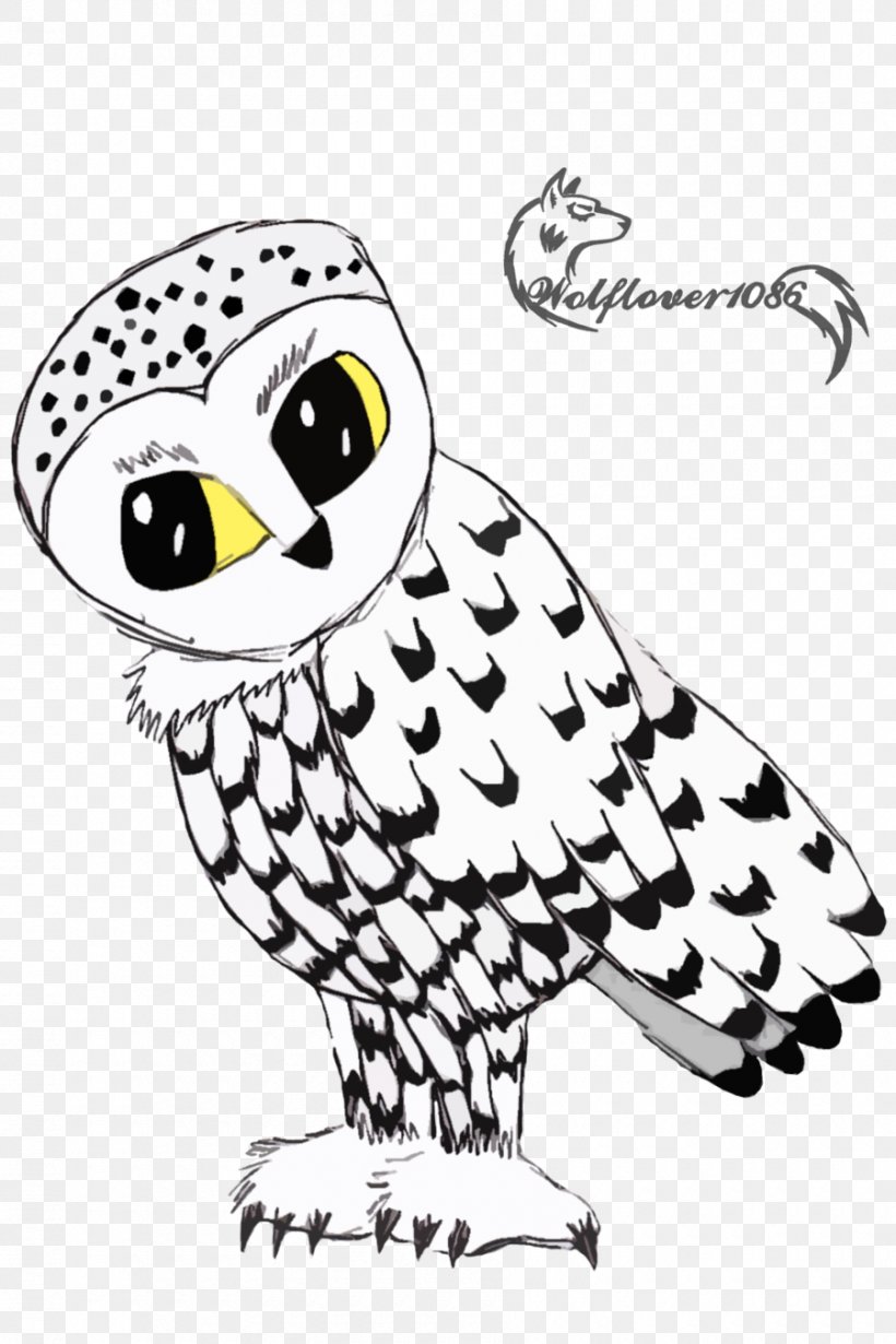 Bird Owl, PNG, 900x1350px, Bird, Animal, Art, Artwork, Beak Download Free