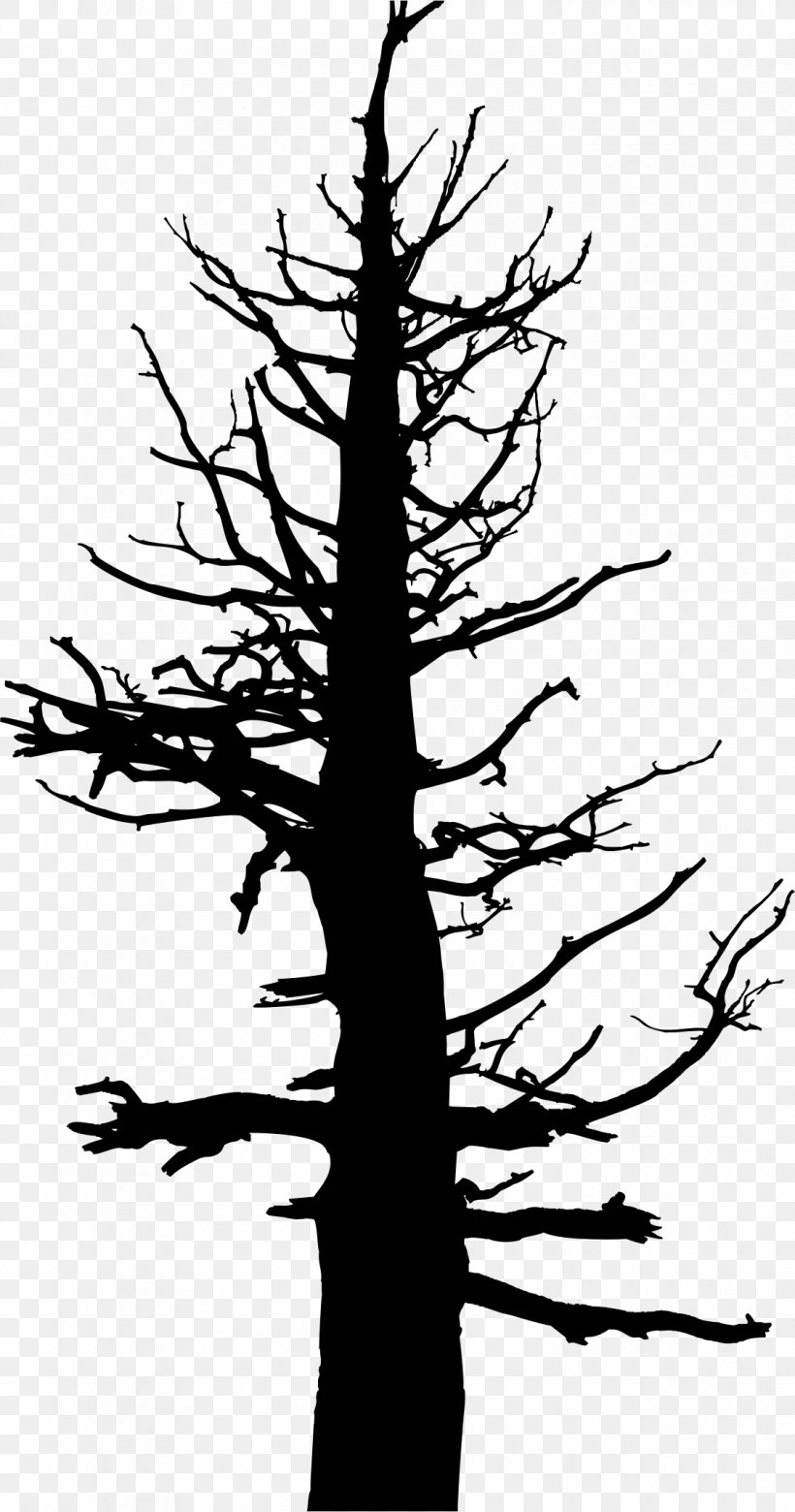 Tree Drawing Silhouette Snag Clip Art, PNG, 1120x2132px, Tree, Black And White, Branch, Conifer, Drawing Download Free