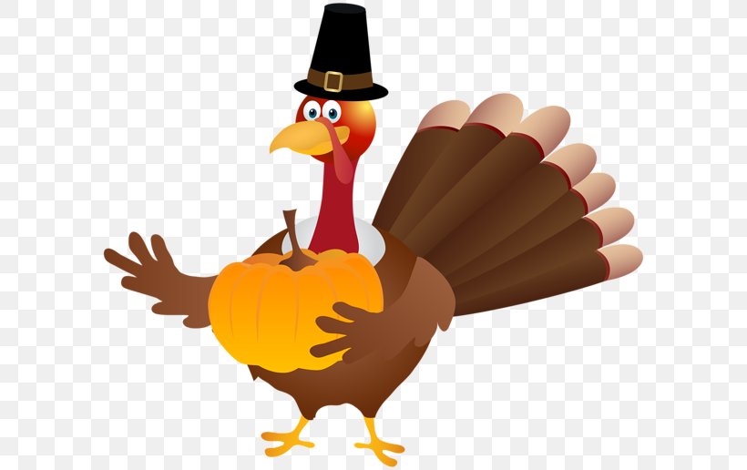 Turkey Pilgrim Thanksgiving Dinner Clip Art, PNG, 600x516px, Turkey, Beak, Bird, Chicken, Christmas Download Free