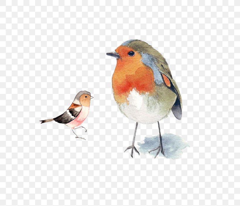 Bird European Robin Watercolor Painting Drawing, PNG, 702x702px, Bird, Art, Beak, Color, Drawing Download Free
