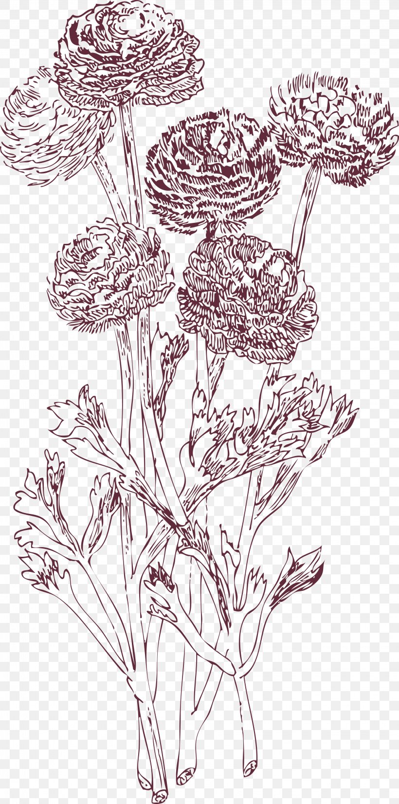 Drawing Illustration, PNG, 3251x6553px, Drawing, Art, Black And White, Branch, Cut Flowers Download Free