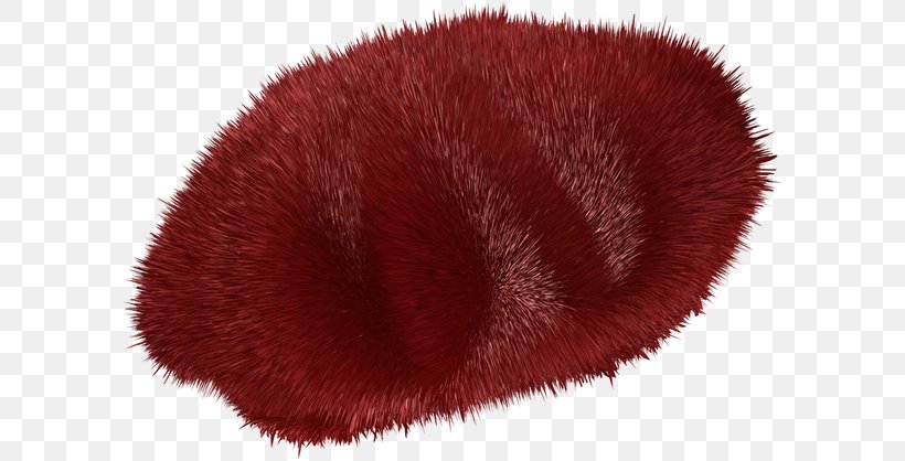 Fur Snout, PNG, 600x418px, Fur, Red, Snout Download Free