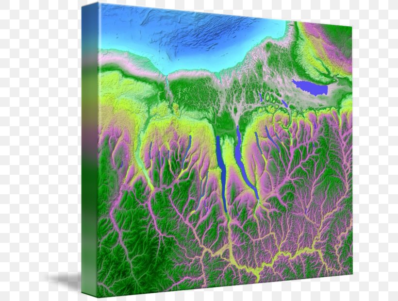 Gallery Wrap Finger Lakes Meadow Ecosystem Canvas, PNG, 650x620px, Gallery Wrap, Art, Canvas, Ecosystem, Family Download Free