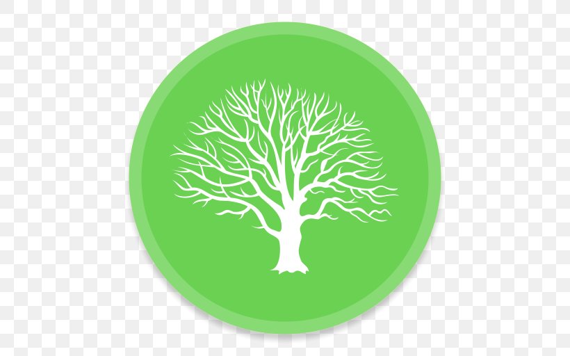 Genealogy Family Tree MacFamilyTree History, PNG, 512x512px, Genealogy, Diagram, Family, Family History Society, Family Reunion Download Free