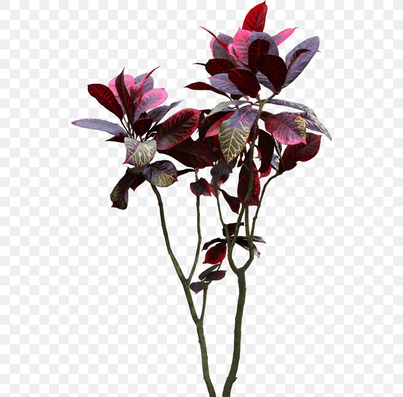 Houseplant Bonsai Cut Flowers Flora, PNG, 531x807px, Houseplant, Animaatio, Artificial Flower, Bonsai, Branch Download Free