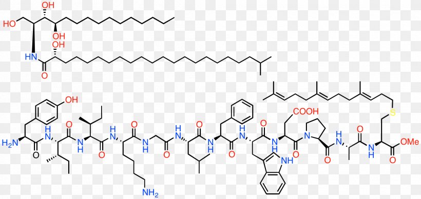 Interfungin Antithrombotic Chemistry Pharmaceutical Drug Ppt, PNG, 2023x959px, Watercolor, Cartoon, Flower, Frame, Heart Download Free