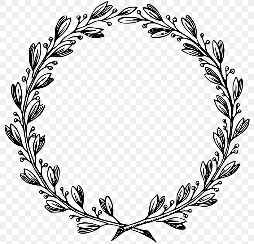 Picture Frame Ornament Clip Art, PNG, 800x790px, Picture Frames, Autocad Dxf, Black And White, Branch, Display Resolution Download Free