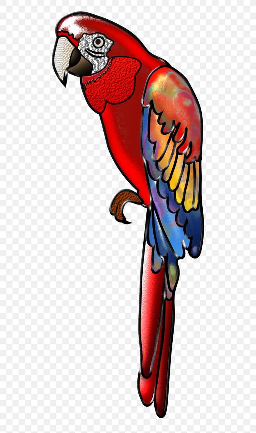 Hand Drawn Red Greenwinged Macaw Parrot Stock Illustration - Download Image  Now - Animal, Animal Body Part, Animal Wildlife - iStock