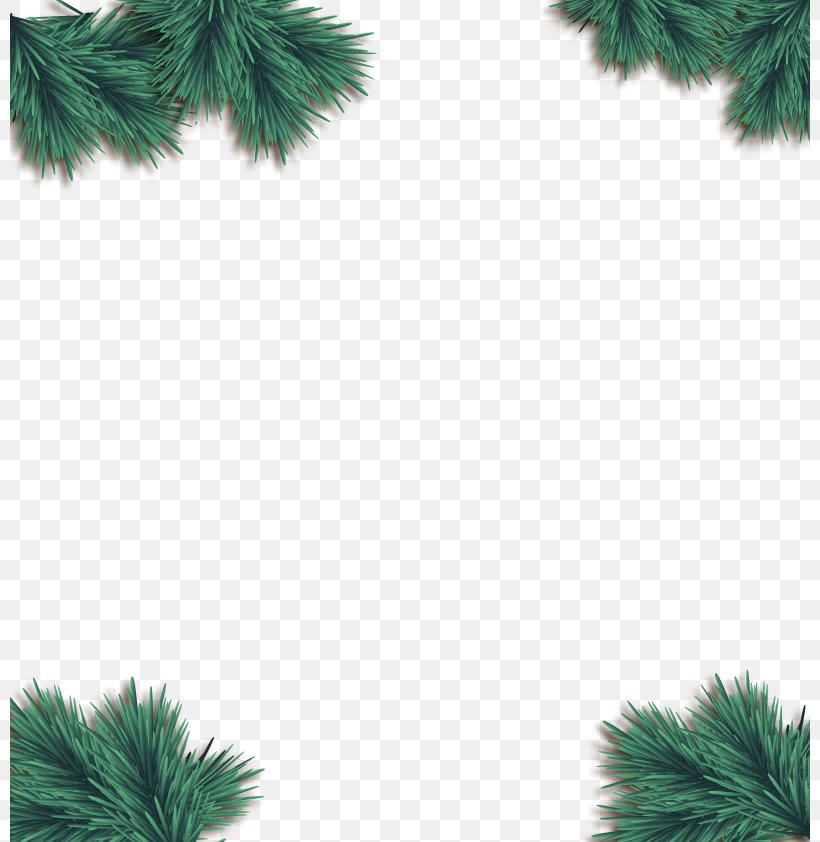 Christmas Euclidean Vector Pine, PNG, 800x842px, Pine, Branch, Christmas, Conifer, Conifers Download Free