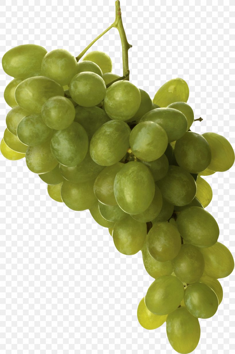 Common Grape Vine Wine Computer File, PNG, 1436x2164px, Grape, Climacteric, Food, Fruit, Grape Seed Extract Download Free