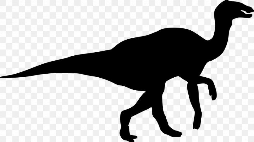 Tyrannosaurus Dinosaur Size Silhouette Spinosaurus, PNG, 960x538px, 3d Dinosaurs, Tyrannosaurus, Beak, Black And White, Dinosaur Download Free