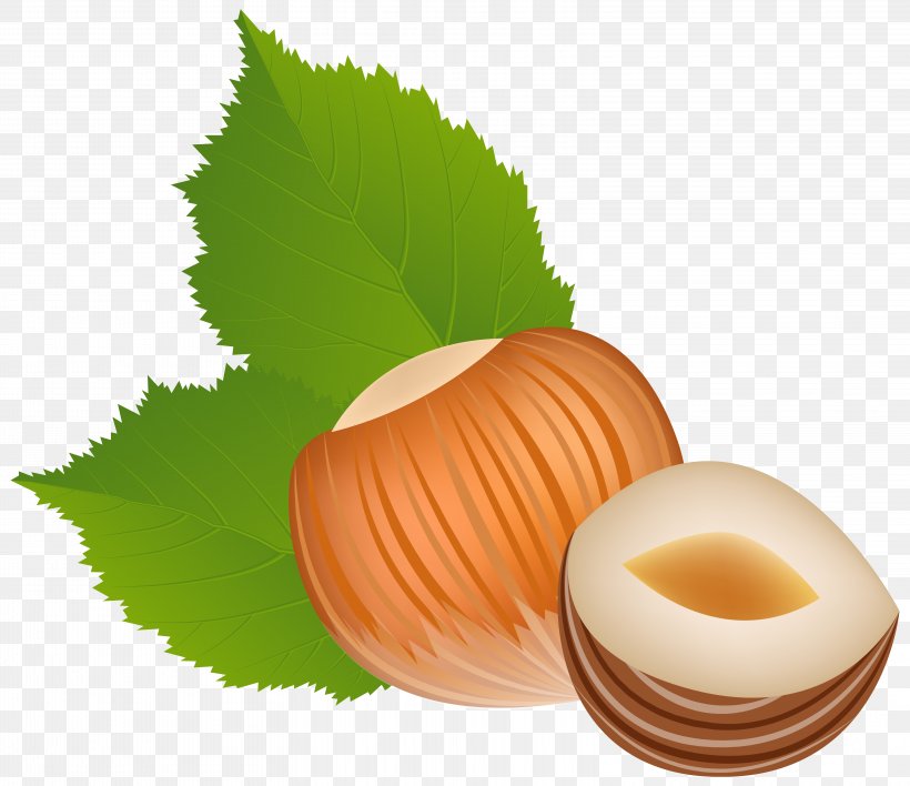 Hazelnut Royalty-free Clip Art, PNG, 6256x5405px, Common Hazel, Acorn, Almond, Can Stock Photo, Food Download Free