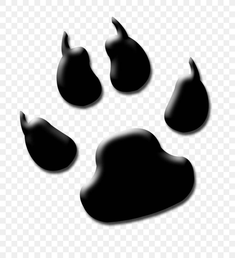 Lion Tiger Cougar Paw Clip Art, PNG, 735x900px, Lion, Black And White, Claw, Cougar, Drawing Download Free