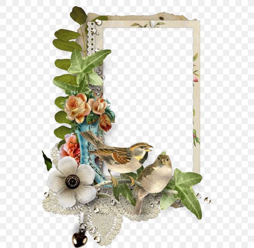 Picture Frames Photography Clip Art, PNG, 555x800px, Picture Frames ...