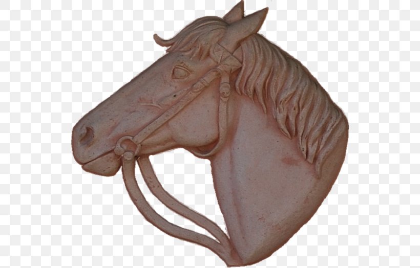 Rein Halter Bridle Saddle Sadio Mané, PNG, 542x524px, Rein, Bridle, Halter, Horse, Horse Like Mammal Download Free