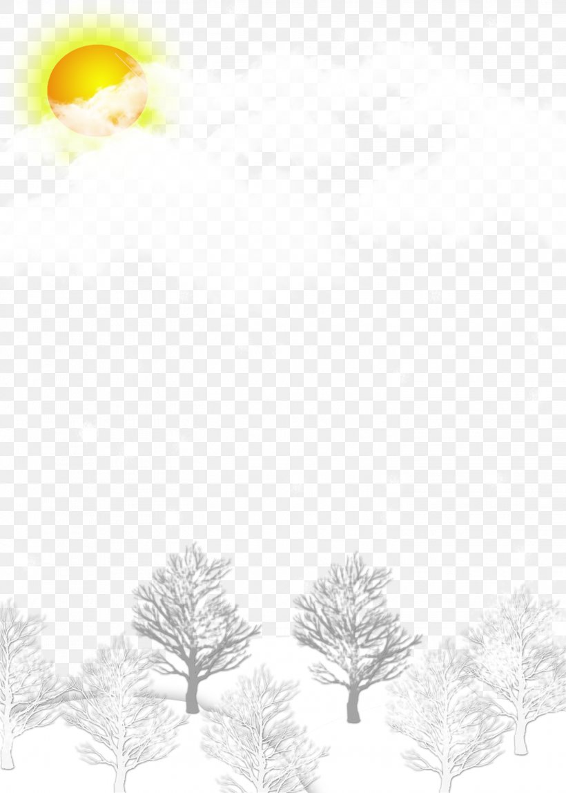 Winter Snow Background Material, PNG, 2904x4066px, Snow, Black And White, Daxue, Fundal, Monochrome Download Free