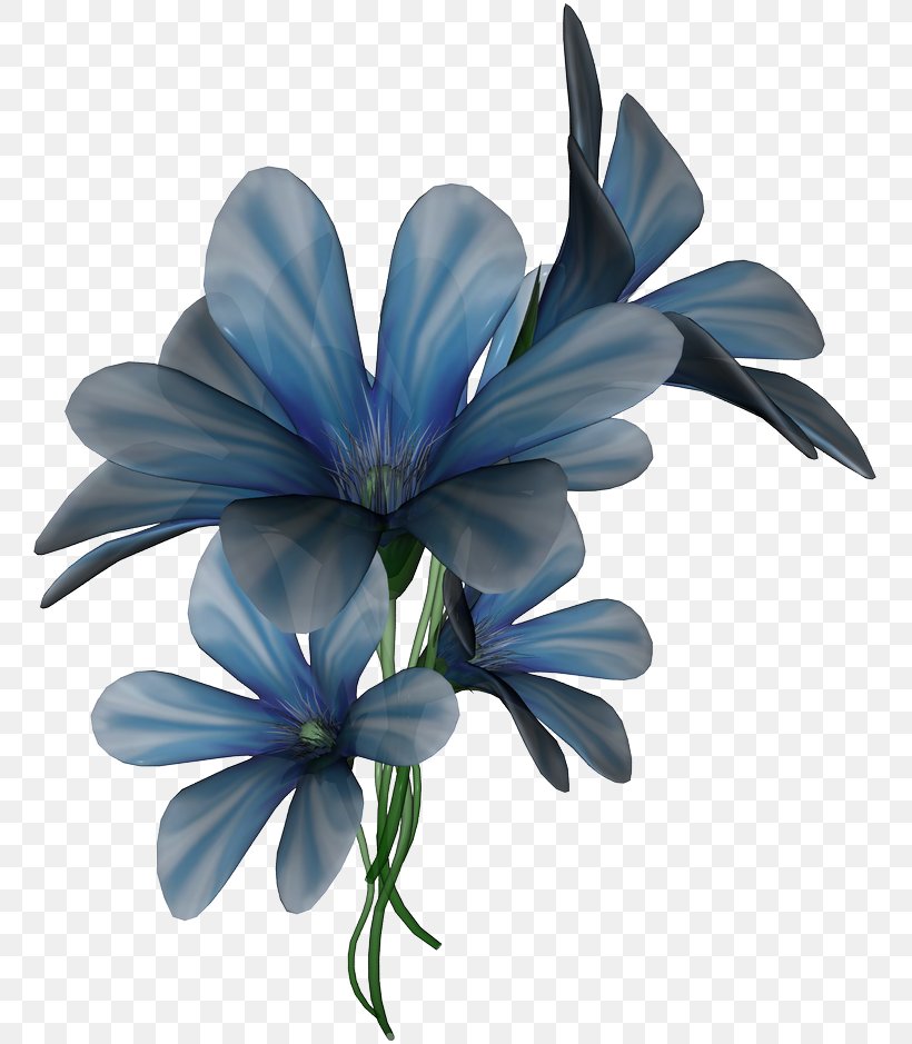 Blue Aquamarine Green Flower, PNG, 763x939px, Blue, Aquamarine, Computer Graphics, Cut Flowers, Flower Download Free