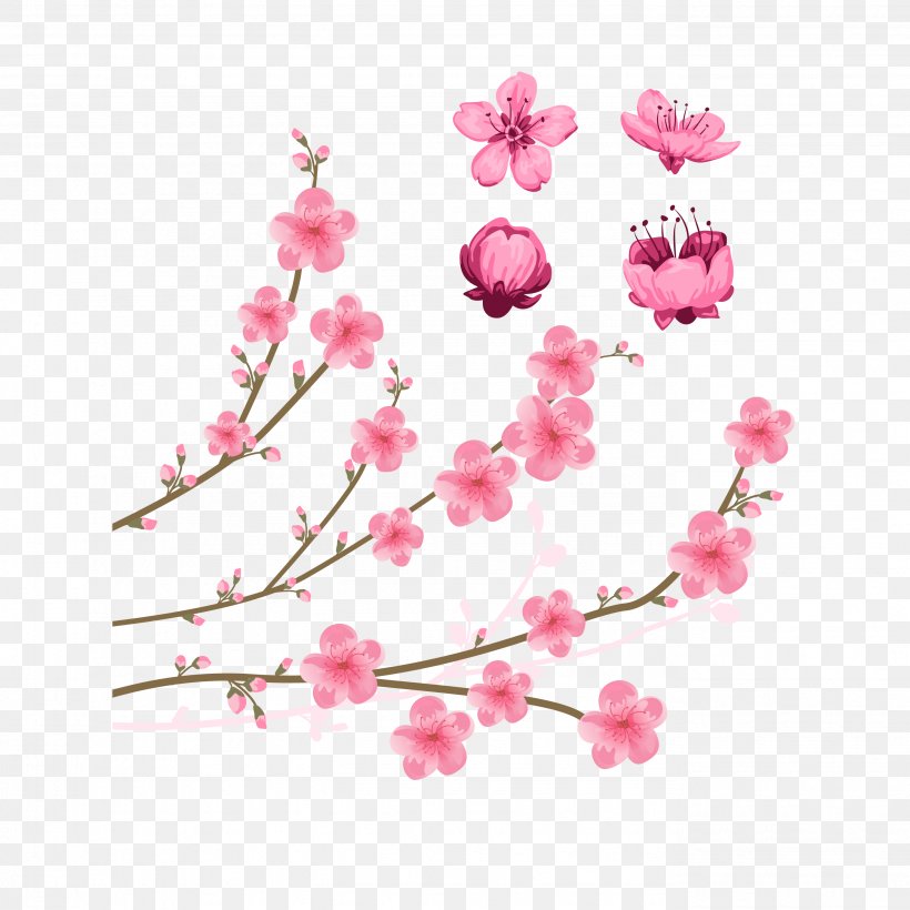 Cherry Blossom Drawing Illustration, PNG, 2756x2756px, Cherry Blossom, Blossom, Branch, Cherry, Drawing Download Free