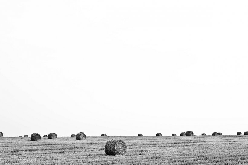 Agriculture YouTube Friendship Farmer Google, PNG, 1200x800px, Agriculture, Black And White, Dribbble, Ecoregion, Farmer Download Free