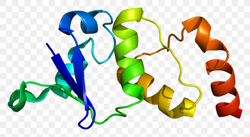 KCND2 Voltage-gated Potassium Channel Cardiac Transient Outward Potassium Current Cardiac Action Potential 2 BC, PNG, 840x461px, Voltagegated Potassium Channel, Action Potential, Arsenic, Artwork, Astatine Download Free