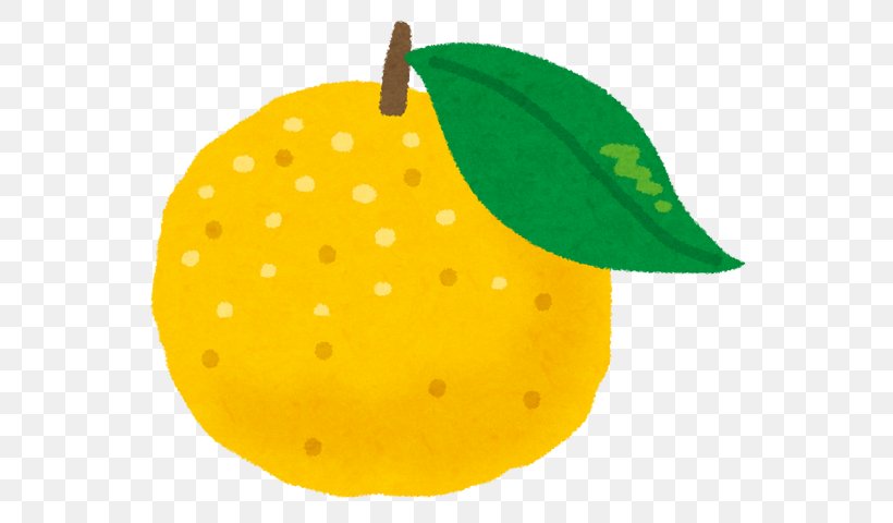 Yuzu Citrus Junos 柚子汤 Umaji Winter Solstice, PNG, 572x480px, Yuzu, Apple, Citrus Junos, Food, From Download Free