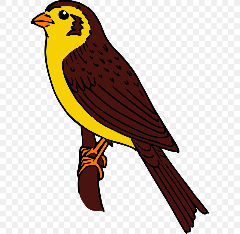Bird Sparrow Clip Art, PNG, 608x800px, Bird, Animal, Beak, Bird Of Prey, Cartoon Download Free