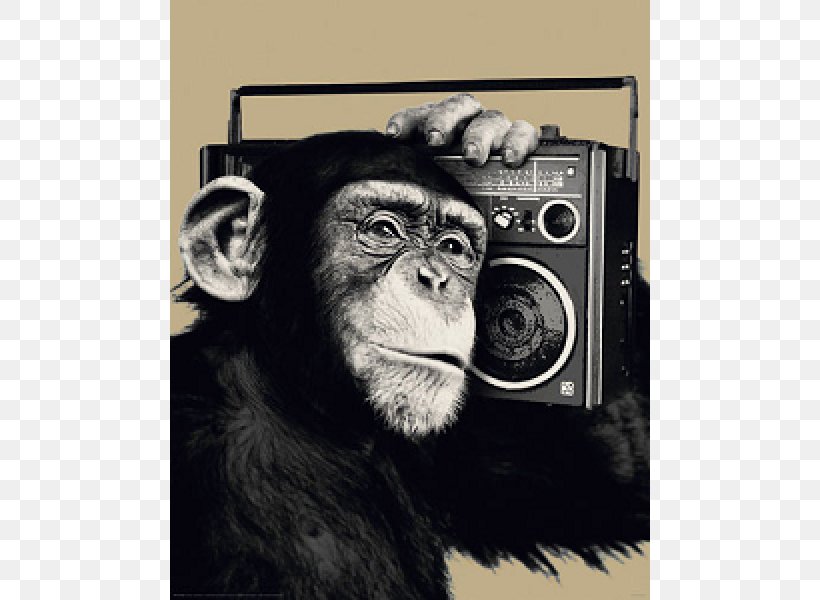 Chimpanzee Poster Monkey Primate Image, PNG, 600x600px, Chimpanzee, Art, Boombox, Canvas, Common Chimpanzee Download Free