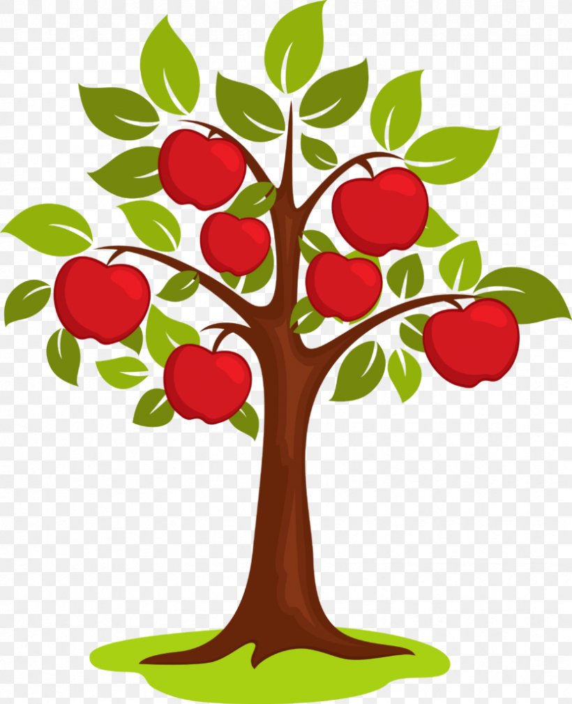 Clip Art Apple Vector Graphics Free Content, PNG, 832x1024px, Apple, Apple Cider, Branch, Cartoon, Flower Download Free