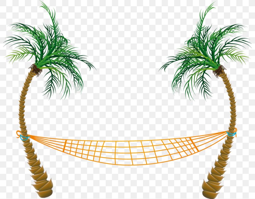 Clip Art Palm Trees Hammock, PNG, 800x641px, Palm Trees, Arecales, Attalea Speciosa, Chair, Coconut Download Free