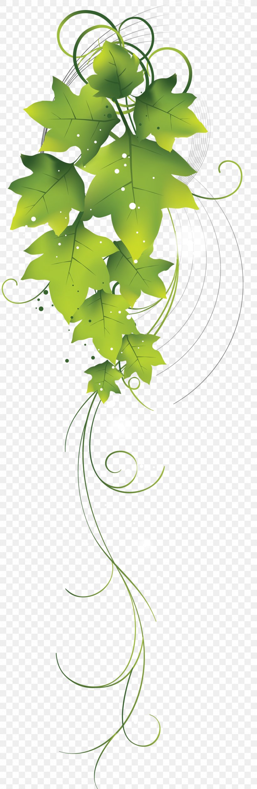 Green Drawing Leaf, PNG, 1304x4000px, Green, Animation, Art, Branch, Computer Graphics Download Free