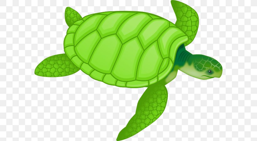 Green Sea Turtle Drawing Clip Art, PNG, 600x451px, Turtle, Animal, Animal Figure, Cartoon, Cuteness Download Free
